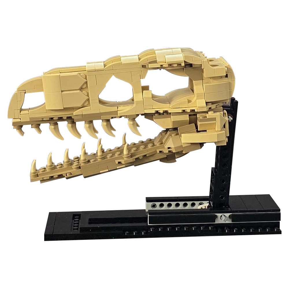 MOC Velociraptor Fossil Skull  - Fossil Replica Display recensie en prijs