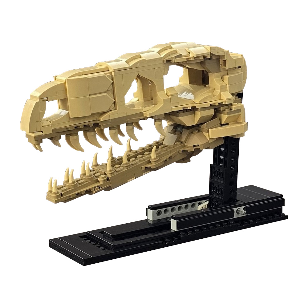 MOC Velociraptor Fossil Skull  - Fossil Replica Display recensie en prijs