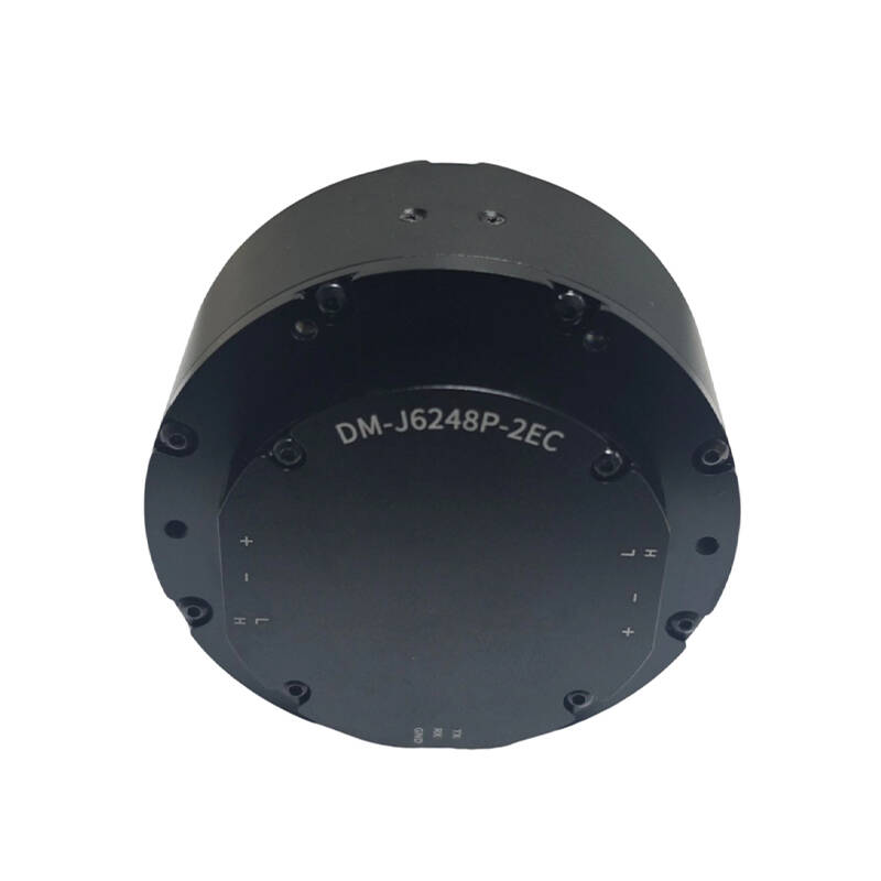 DAMIAO DM-J6248P-2EC Industria - Robot Arm Motor recensie en prijs