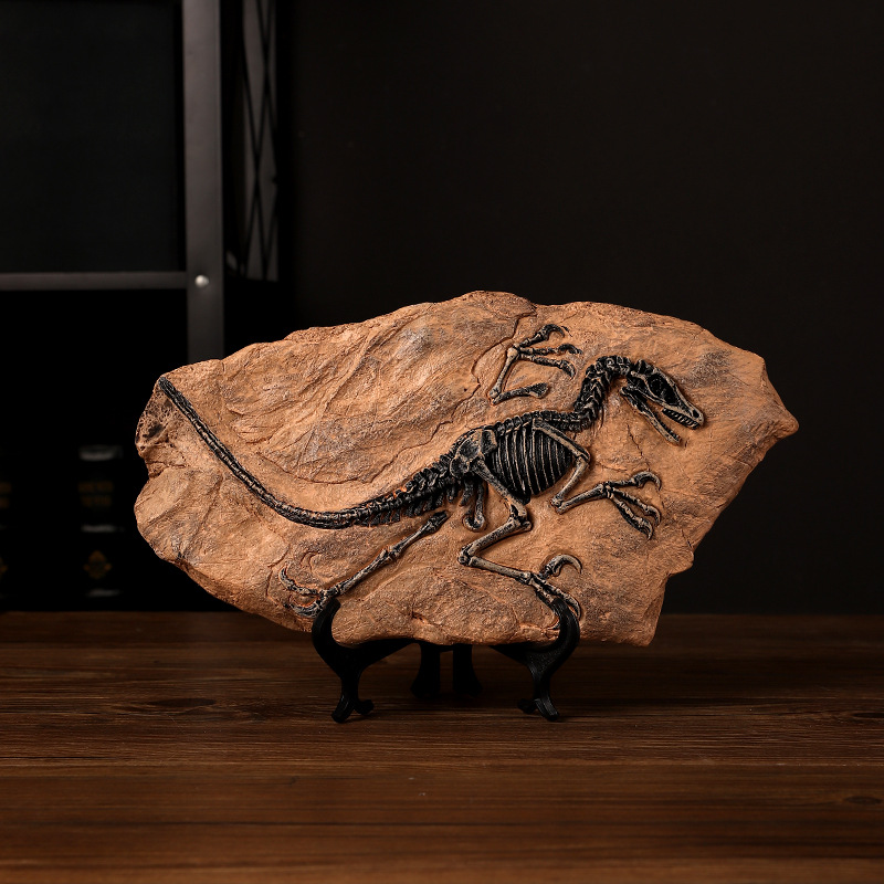 ‌Realistic Dinosaur Fossil Rep - Fossil Replica Display recensie en prijs
