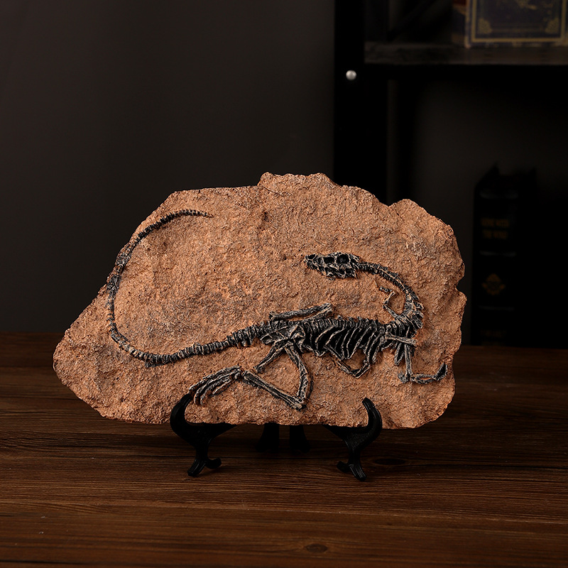‌Realistic Dinosaur Fossil Rep - Fossil Replica Display recensie en prijs