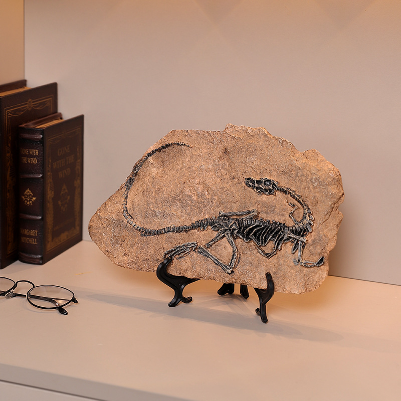 ‌Realistic Dinosaur Fossil Rep - Fossil Replica Display recensie en prijs
