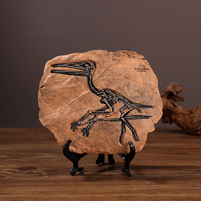 ‌Realistic Dinosaur Fossil Rep - Fossil Replica Display recensie en prijs
