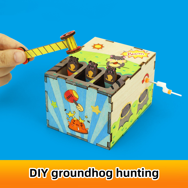 DIY Mouse Game Science and Tec - Science And Invention recensie en prijs